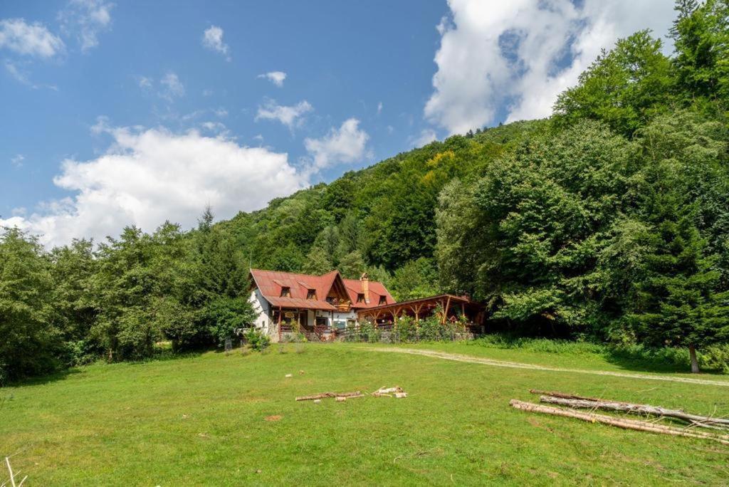Cabana Rausor Câmpulung Exterior foto